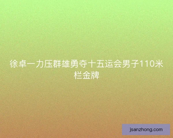 徐卓一力压群雄勇夺十五运会男子110米栏金牌