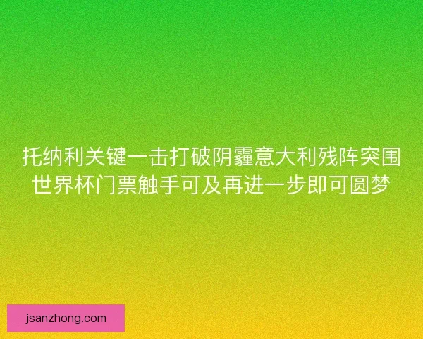 托纳利关键一击打破阴霾意大利残阵突围世界杯门票触手可及再进一步即可圆梦